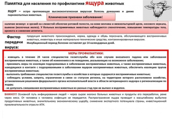Памятка по ящуру