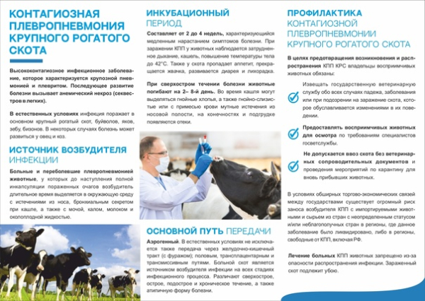 Памятка